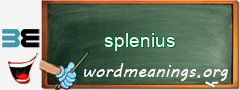 WordMeaning blackboard for splenius